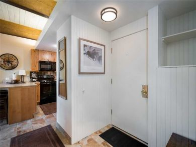 Steamboat Springs Home 927478