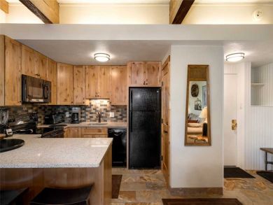 Steamboat Springs Home 927478
