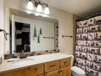 Steamboat Springs Home 927478