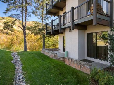 Steamboat Springs Home 927478