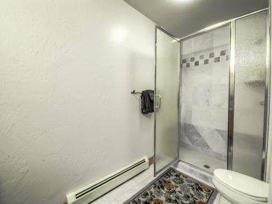 Steamboat Springs Home 927479