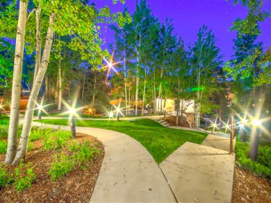 Steamboat Springs Home 927479