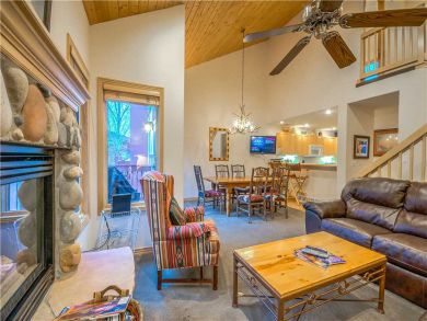 Steamboat Springs Home 927482