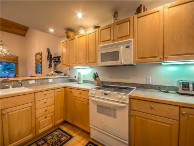 Steamboat Springs Home 927482