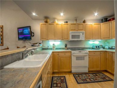 Steamboat Springs Home 927482