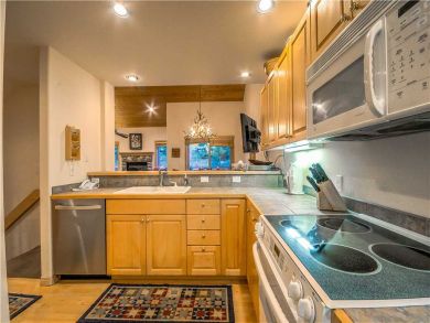 Steamboat Springs Home 927482