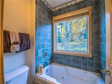 Steamboat Springs Home 927482