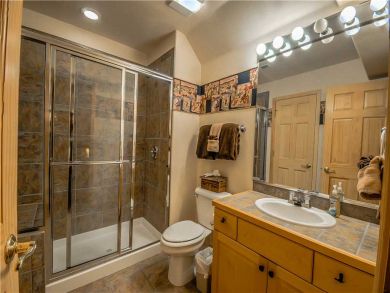 Steamboat Springs Home 927482
