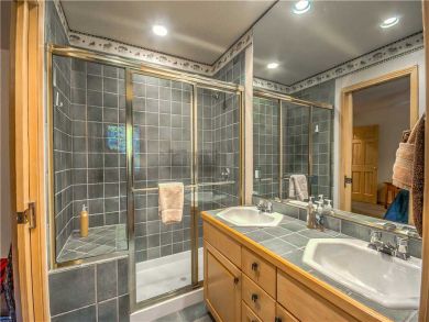 Steamboat Springs Home 927482