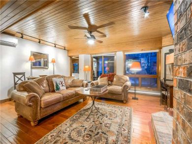 Steamboat Springs Home 927483