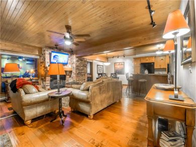 Steamboat Springs Home 927483
