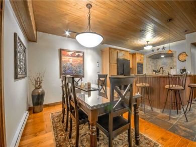 Steamboat Springs Home 927483