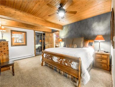 Steamboat Springs Home 927483