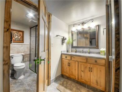 Steamboat Springs Home 927483