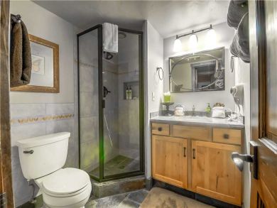 Steamboat Springs Home 927483