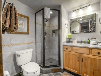 Steamboat Springs Home 927483