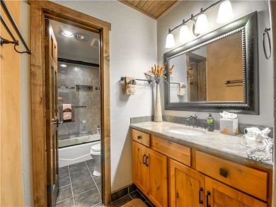 Steamboat Springs Home 927483
