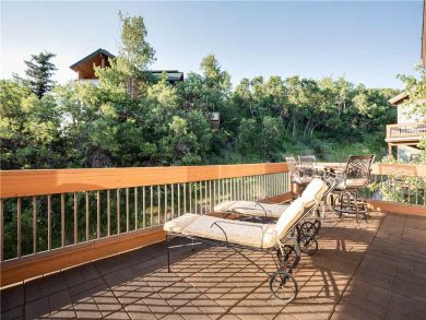 Steamboat Springs Home 927485