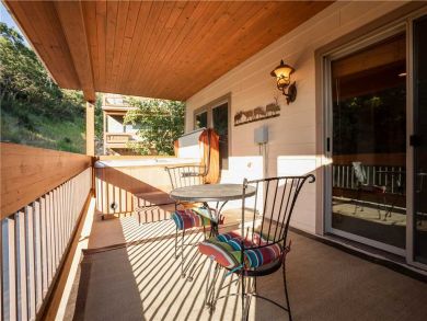 Steamboat Springs Home 927485