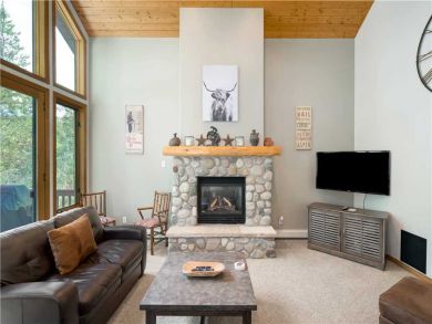 Steamboat Springs Home 927487