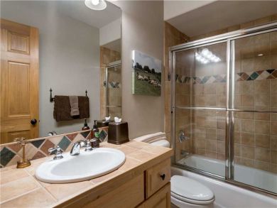 Steamboat Springs Home 927487