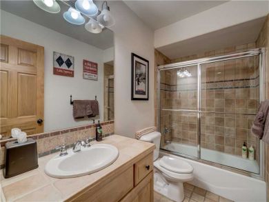 Steamboat Springs Home 927487