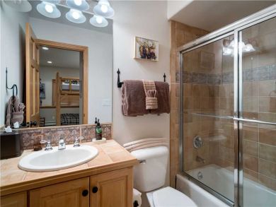 Steamboat Springs Home 927487