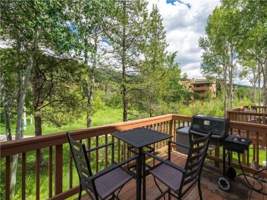 Steamboat Springs Home 927487