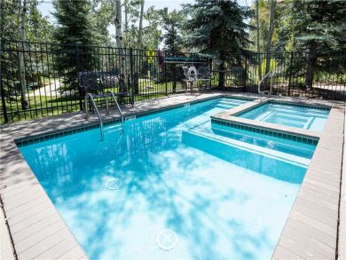 Steamboat Springs Home 927487