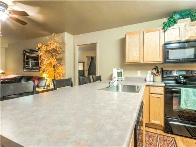 Steamboat Springs Home 927488