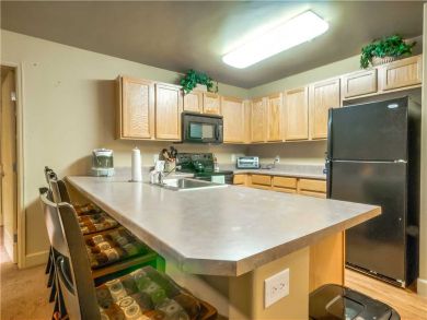 Steamboat Springs Home 927488