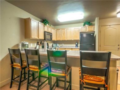 Steamboat Springs Home 927488
