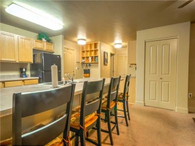 Steamboat Springs Home 927488