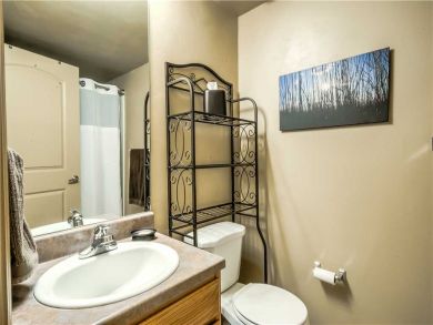 Steamboat Springs Home 927488
