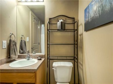 Steamboat Springs Home 927488