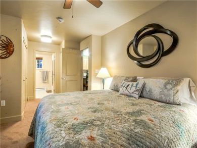 Steamboat Springs Home 927488
