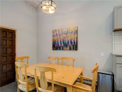 Steamboat Springs Home 927491