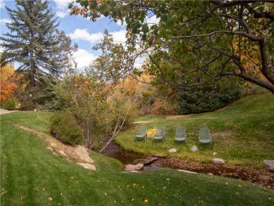 Steamboat Springs Home 927491