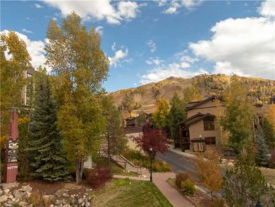 Steamboat Springs Home 927491