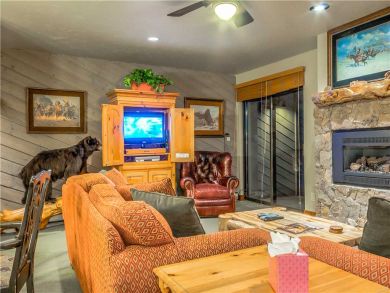 Steamboat Springs Home 927492