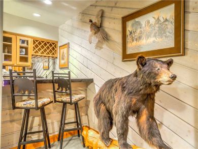 Steamboat Springs Home 927492