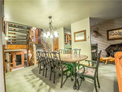 Steamboat Springs Home 927492