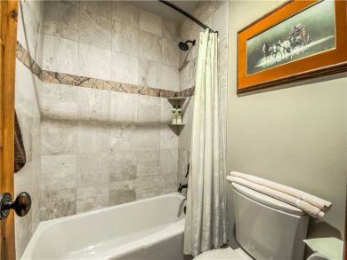Steamboat Springs Home 927492