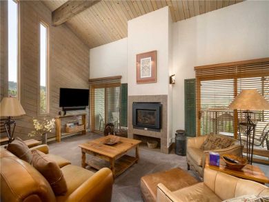 Steamboat Springs Home 927494