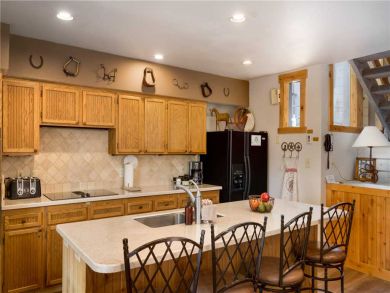 Steamboat Springs Home 927494
