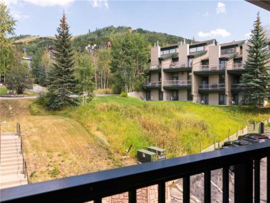 Steamboat Springs Home 927494