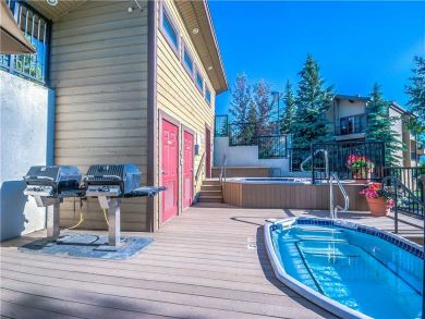 Steamboat Springs Home 927494