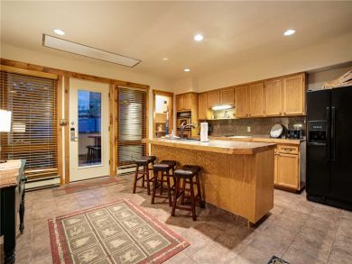 Steamboat Springs Home 927496