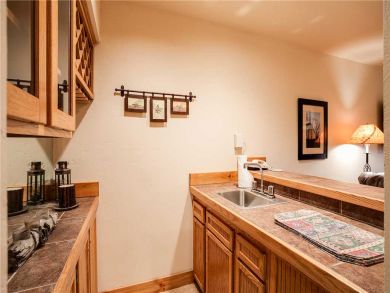 Steamboat Springs Home 927496