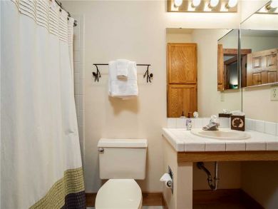 Steamboat Springs Home 927496